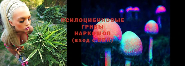 кокаин премиум Богданович