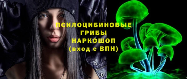 кокс Богородицк