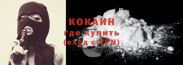 кокс Богородицк