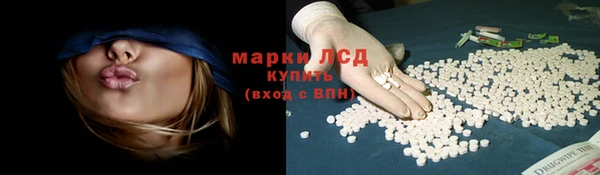 сатива Богородск