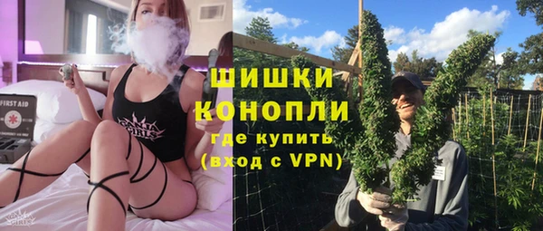 сатива Богородск