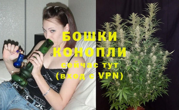 сатива Богородск