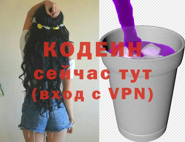 кокс Богородицк